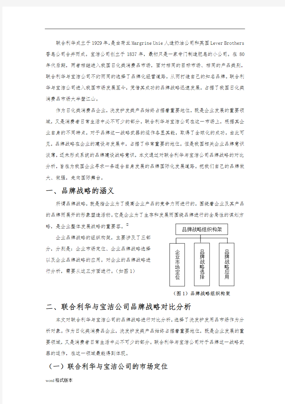 联合利华与宝洁公司品牌战略对比分析报告