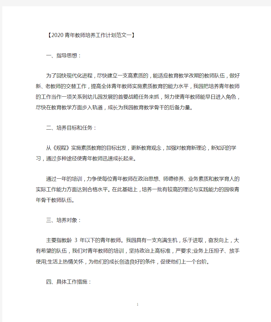 2020青年教师培养工作计划