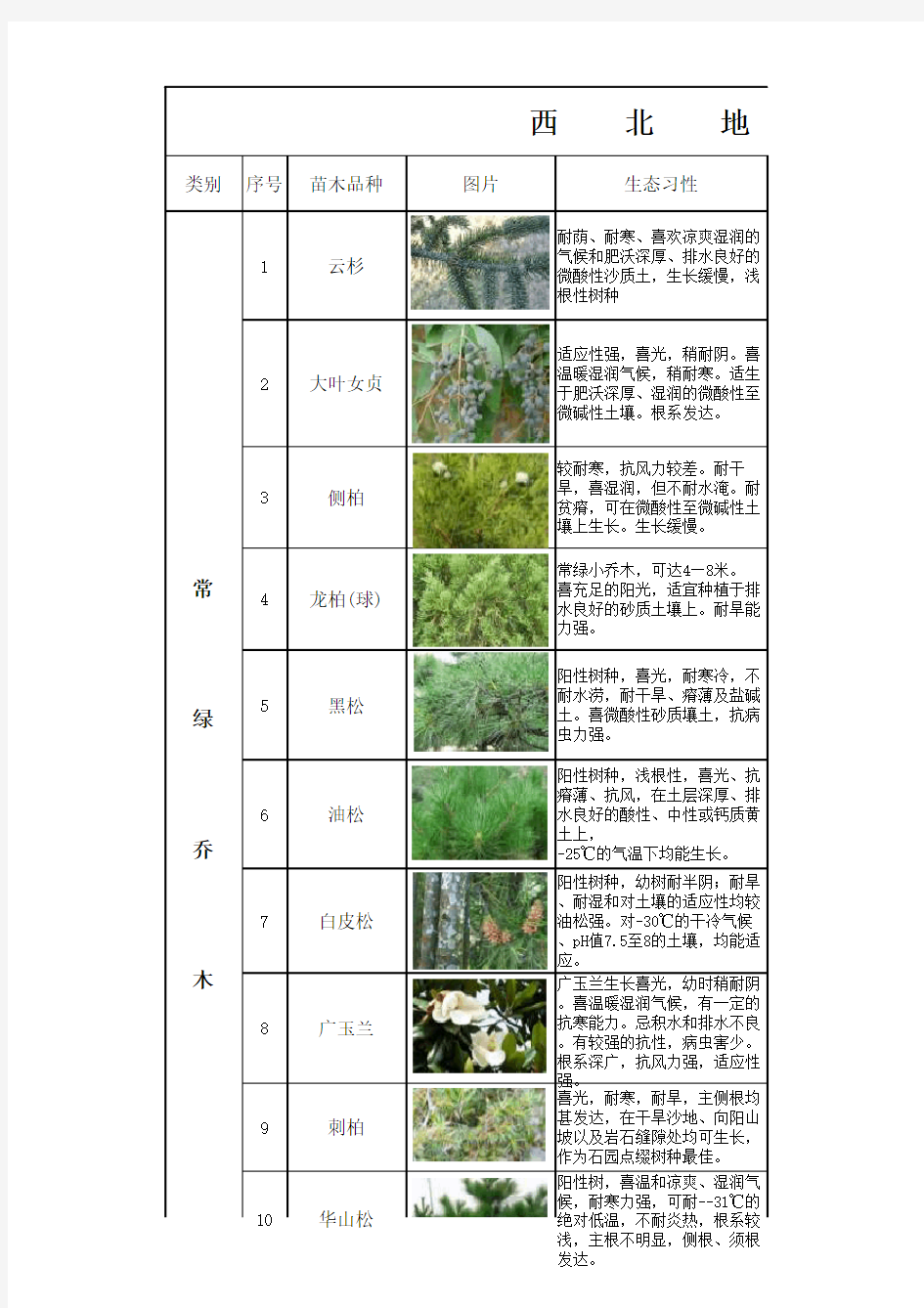 西北园林苗木清单