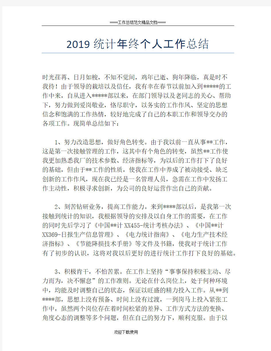 2019统计年终个人工作总结