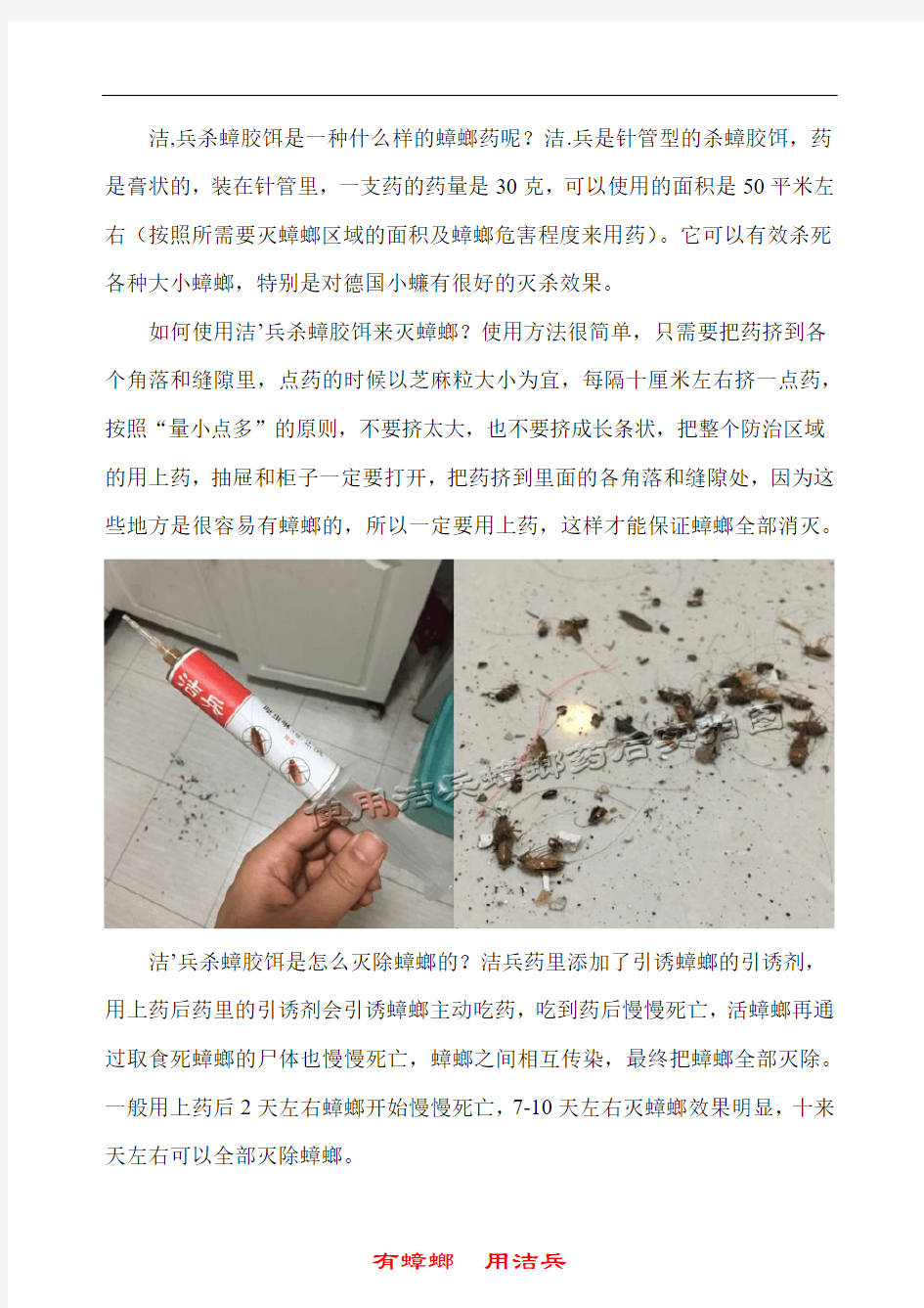 怎么能把蟑螂彻底除掉