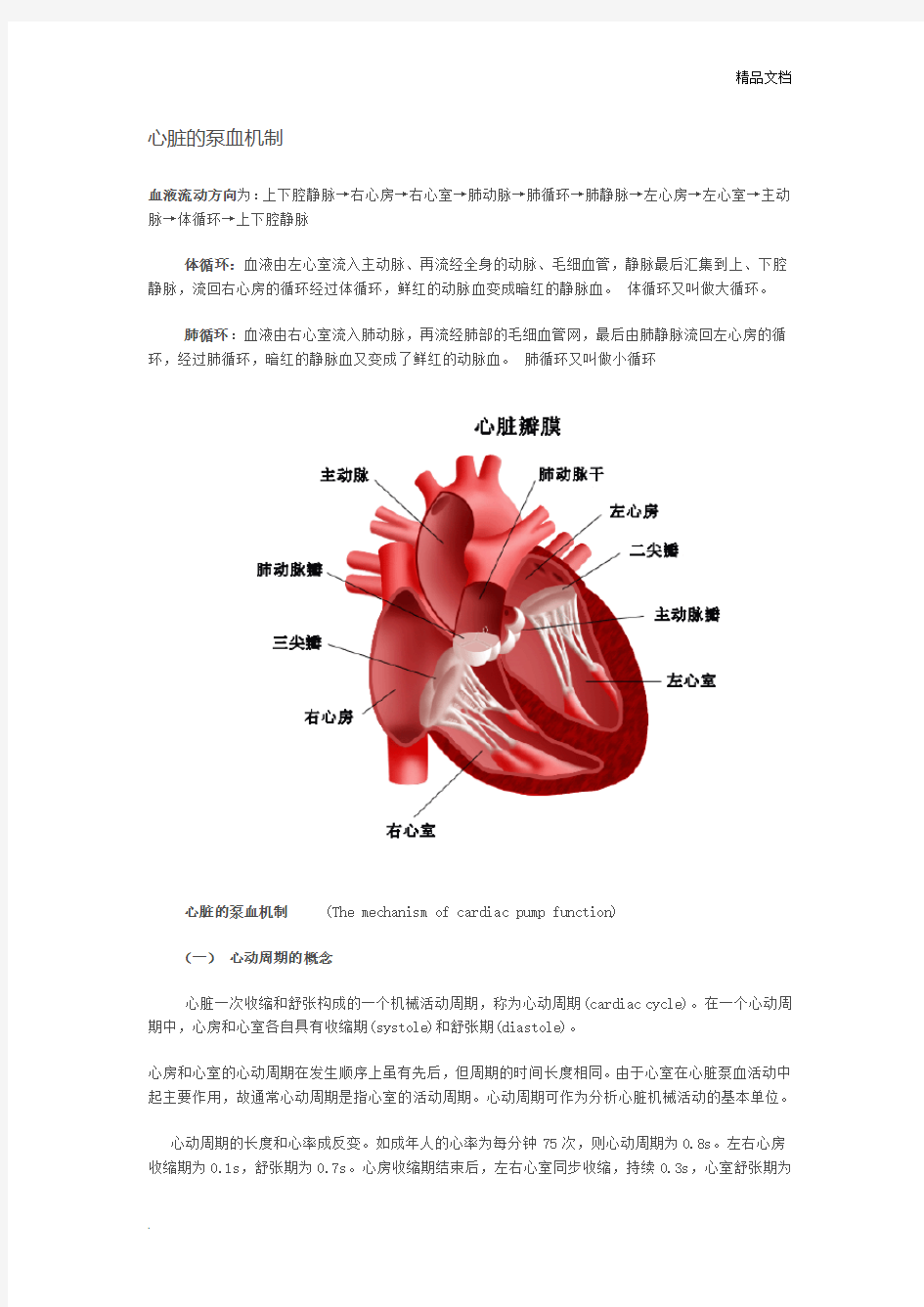 心脏的泵血机制