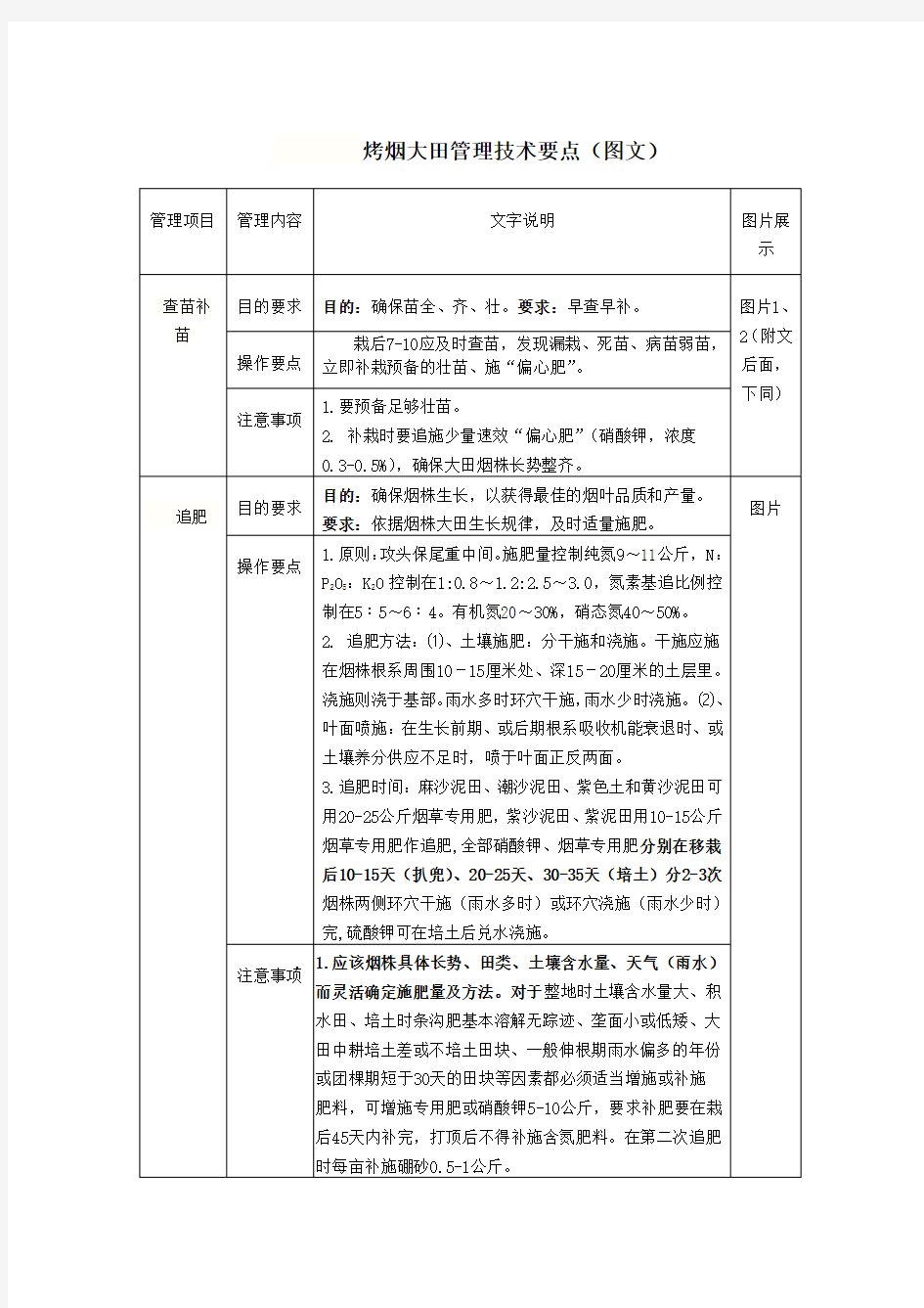 烤烟大田管理技术要点(图文)