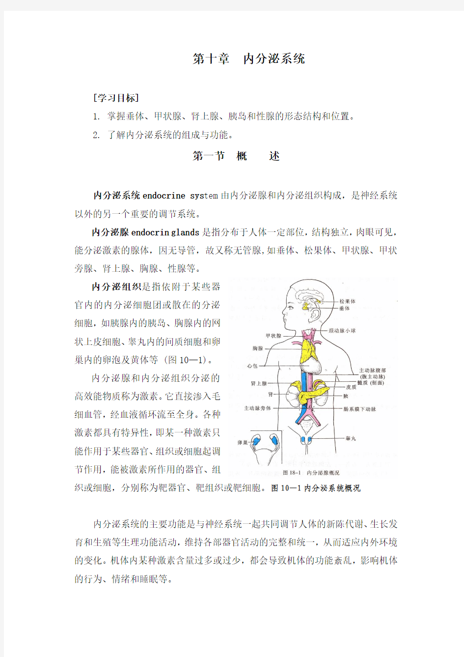 第十章 内分泌系统