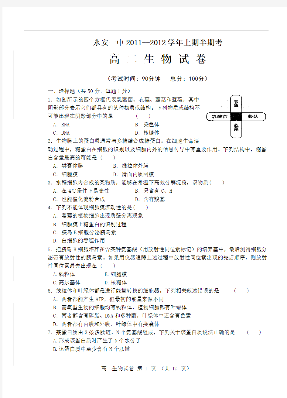 高二生物上学期期中考试卷