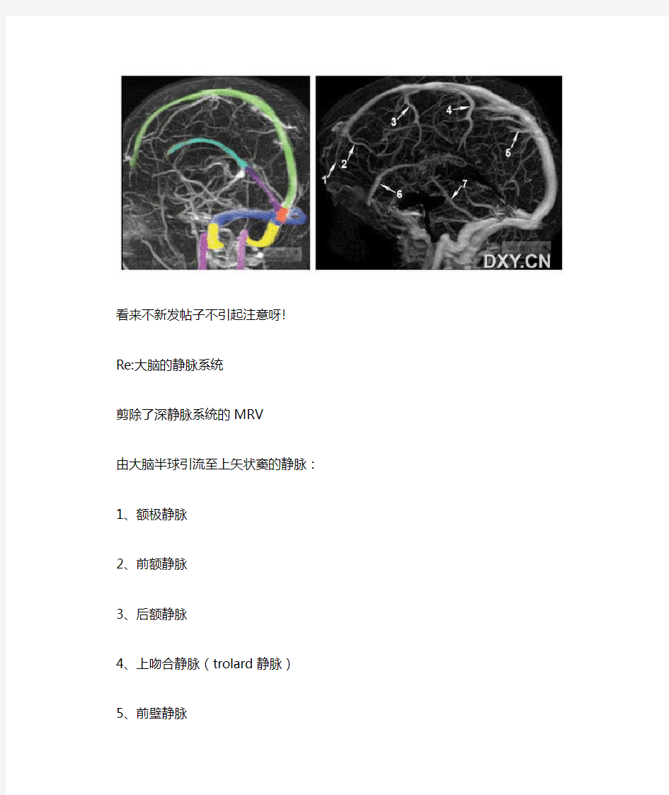 【解剖学习】脑静脉回流图解!