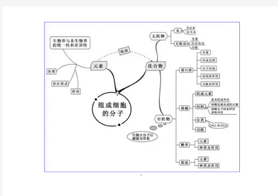 生物思维导图