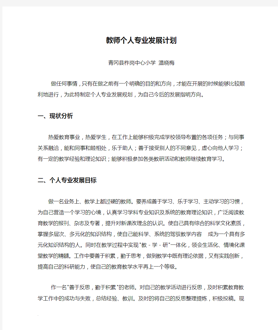 教师个人专业发展计划