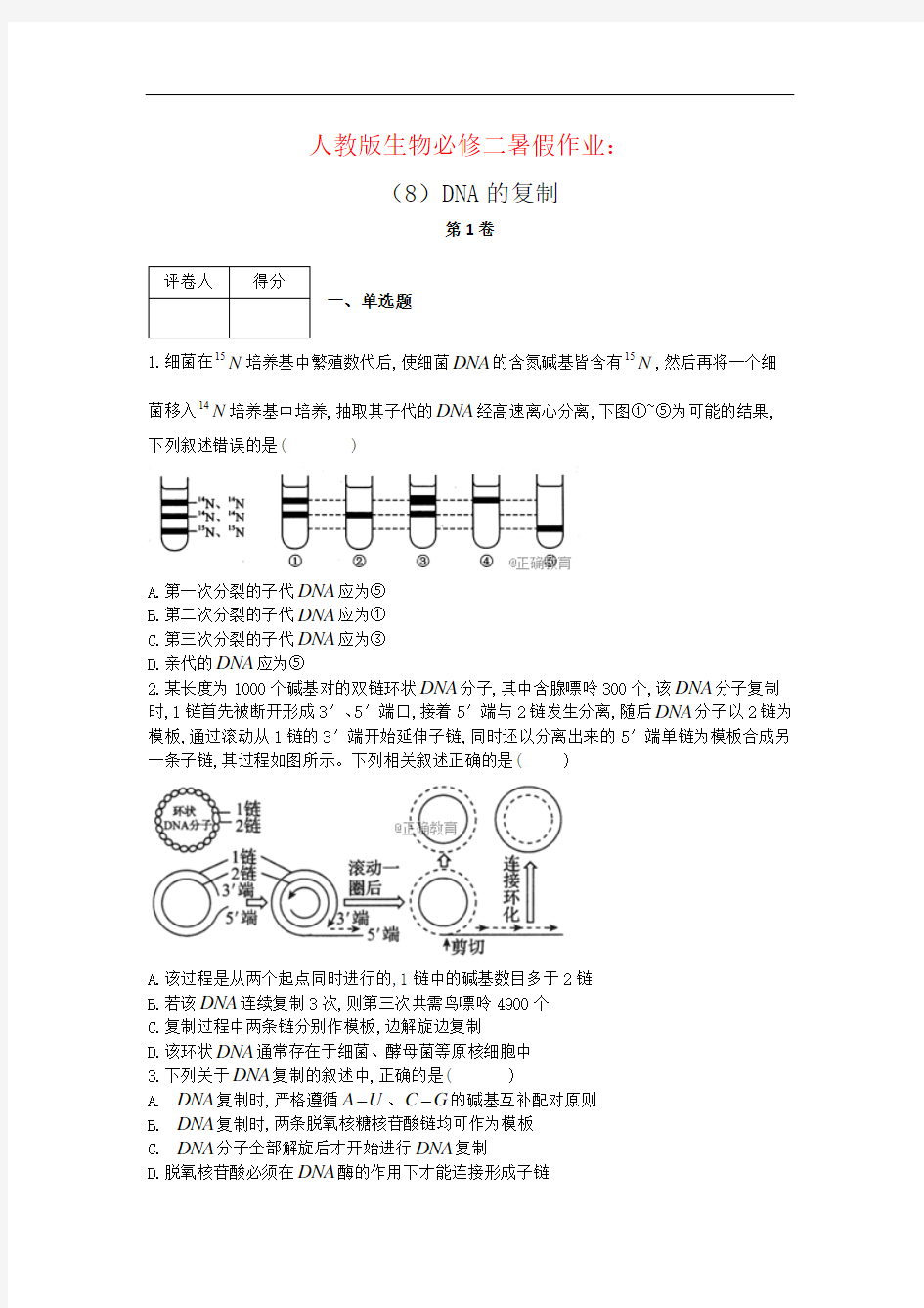 人教版生物必修二暑假作业：(8)DNA的复制