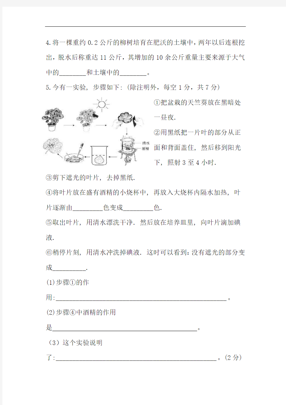 最新初中生物-七年级生物光合作用和呼吸作用测试题 精品