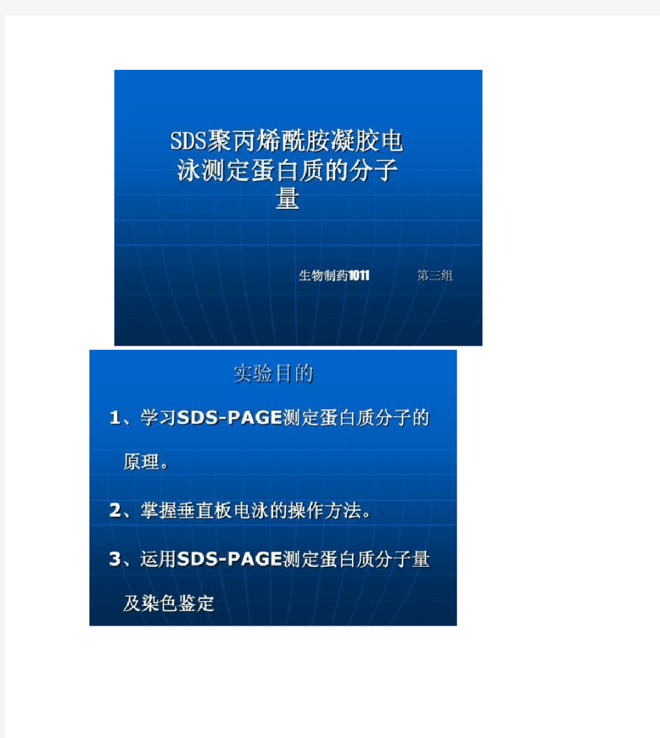 SDS聚丙烯酰胺凝胶电泳测定蛋白质的分子量.