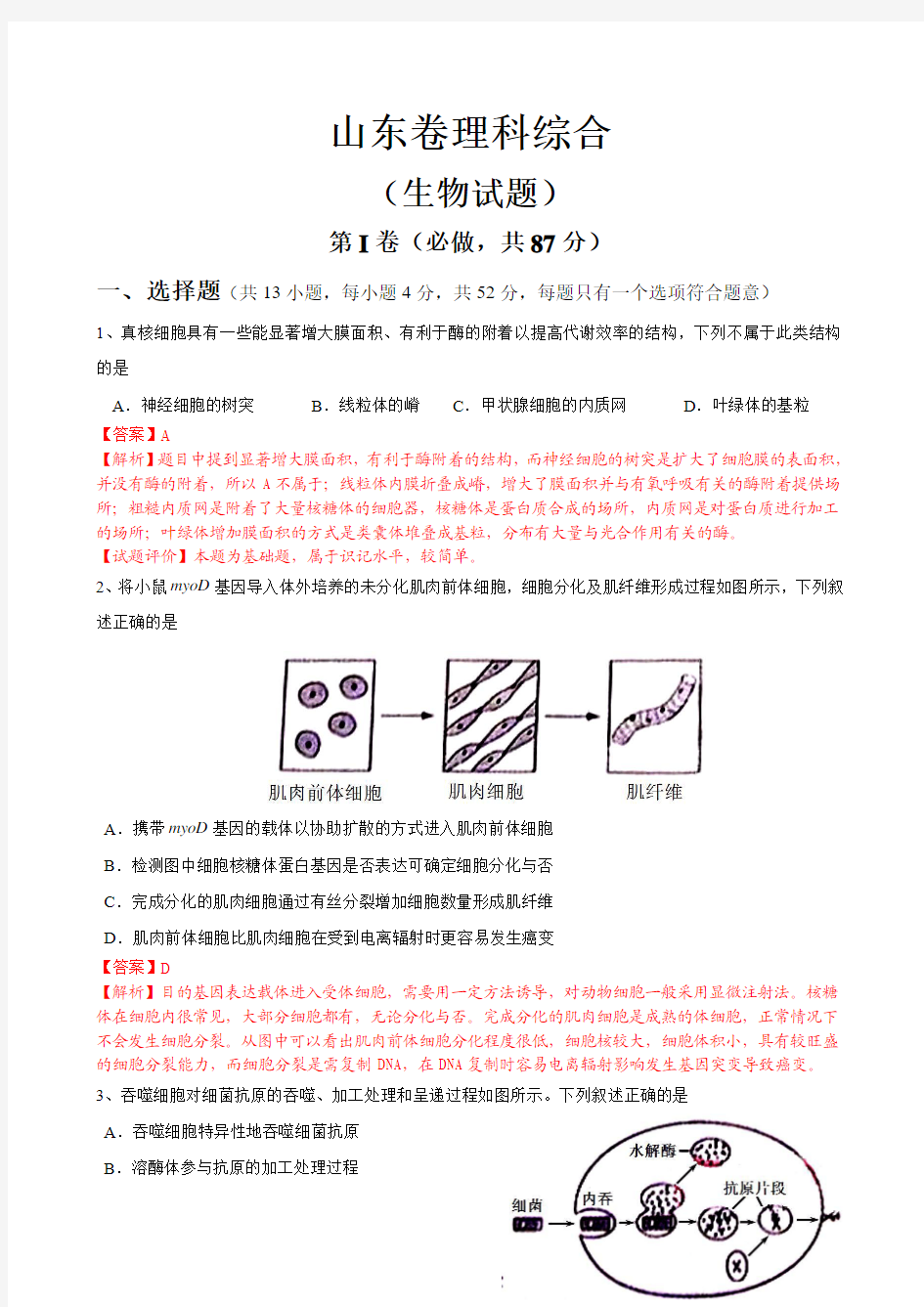 2013山东理综生物试题