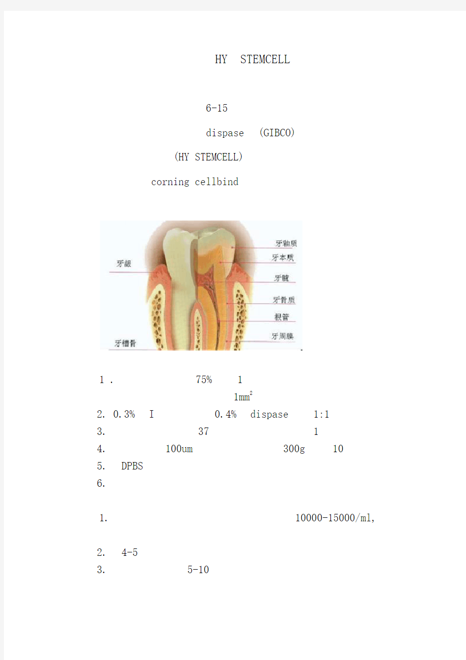 牙髓间充质干细胞培养