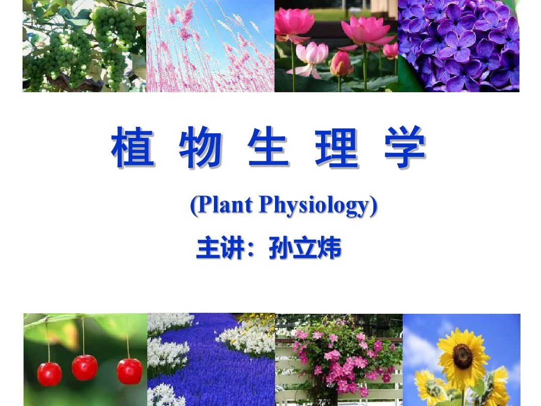 植物生理学绪论