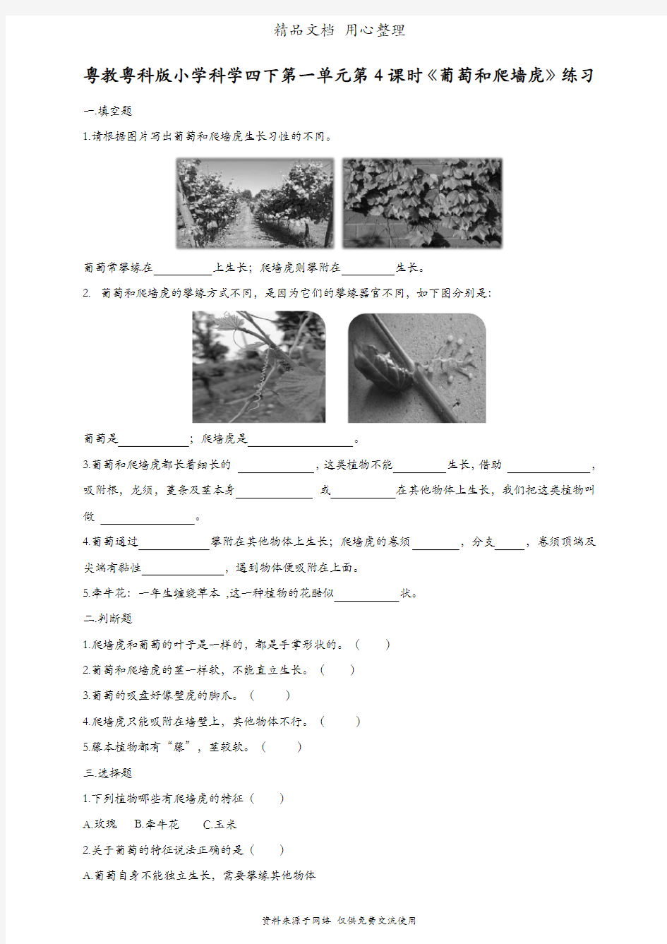 (新教材)粤教粤科版四年级下册科学 第4课 葡萄和爬墙虎 课时练(同步练习)