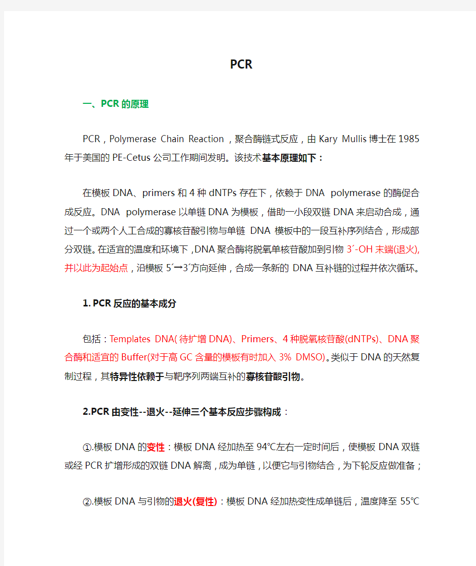 PCR原理及注意事项