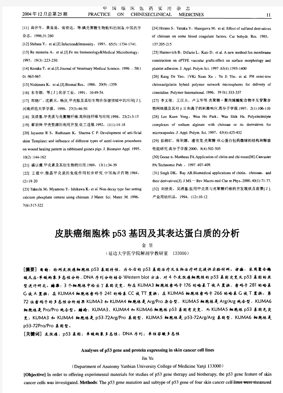 皮肤癌细胞株p53基因及其表达蛋白质的分析