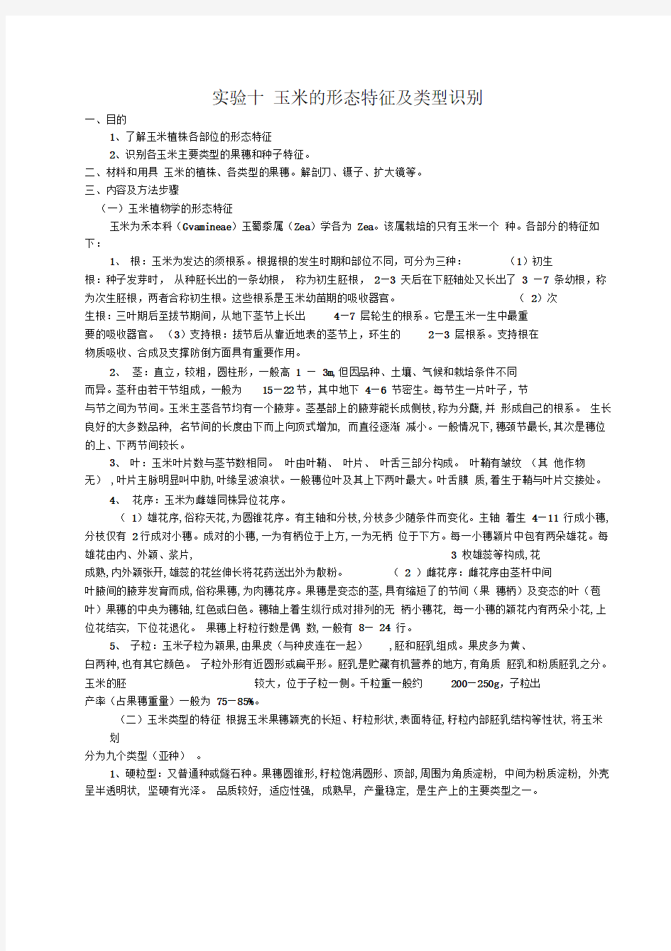 玉米的形态特征及类型识别