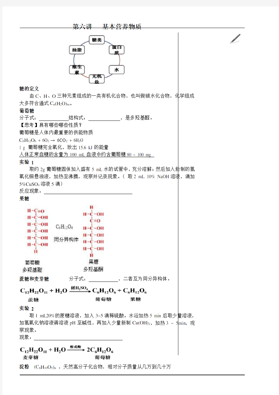 6基本营养物质