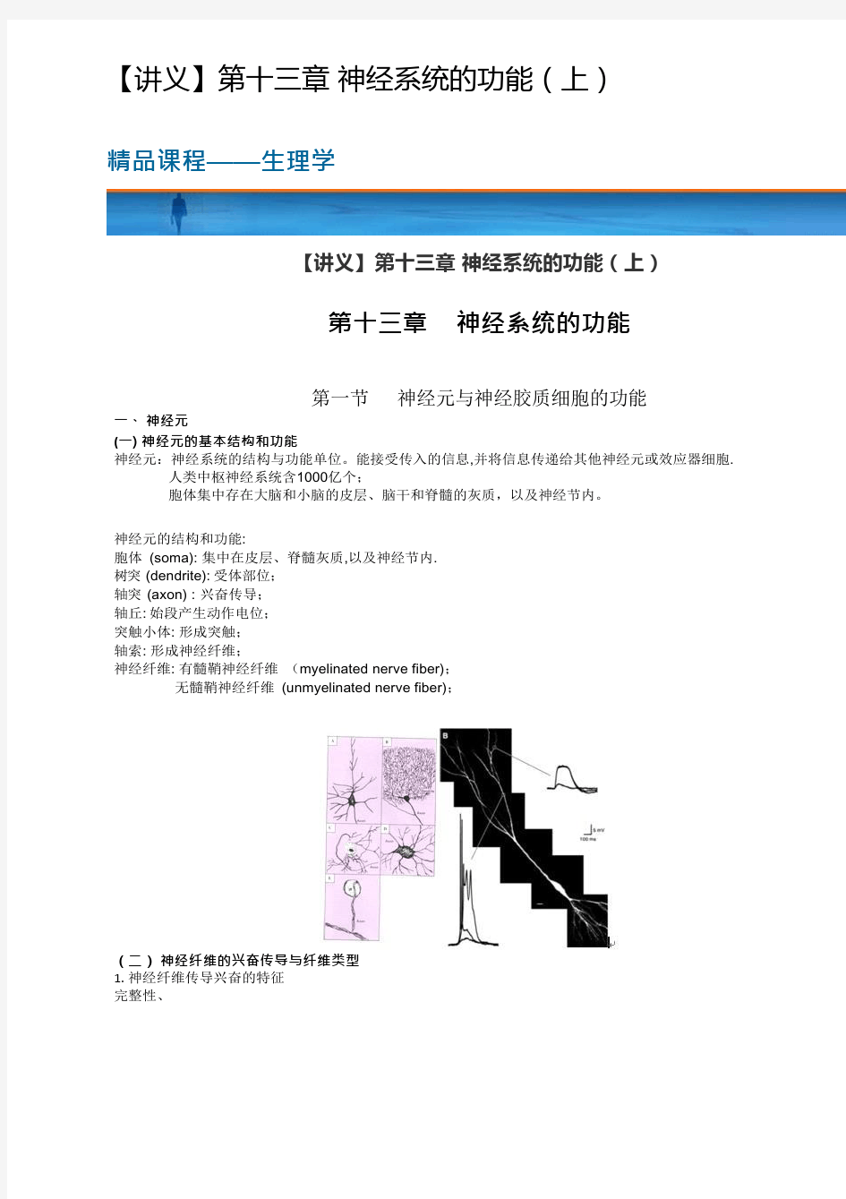 生理学笔记讲义知识点总结第十三章 神经系统的功能(上)