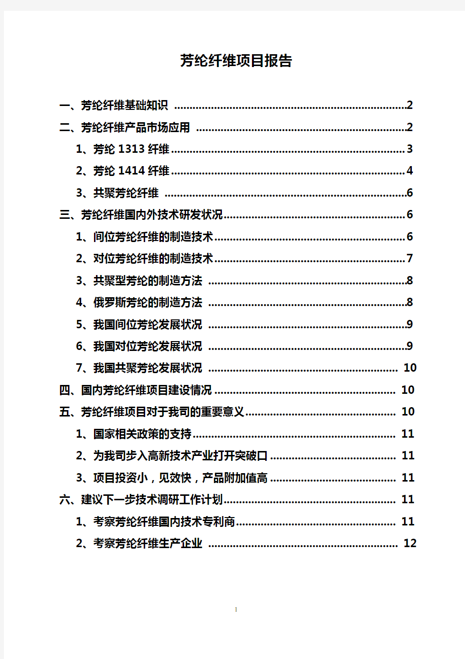 芳纶纤维项目报告20110914