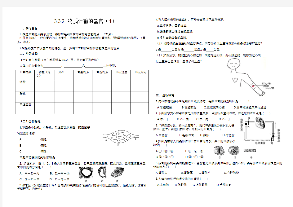 物质运输的器官(1)学案