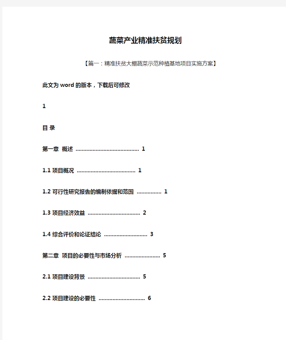 蔬菜产业精准扶贫规划