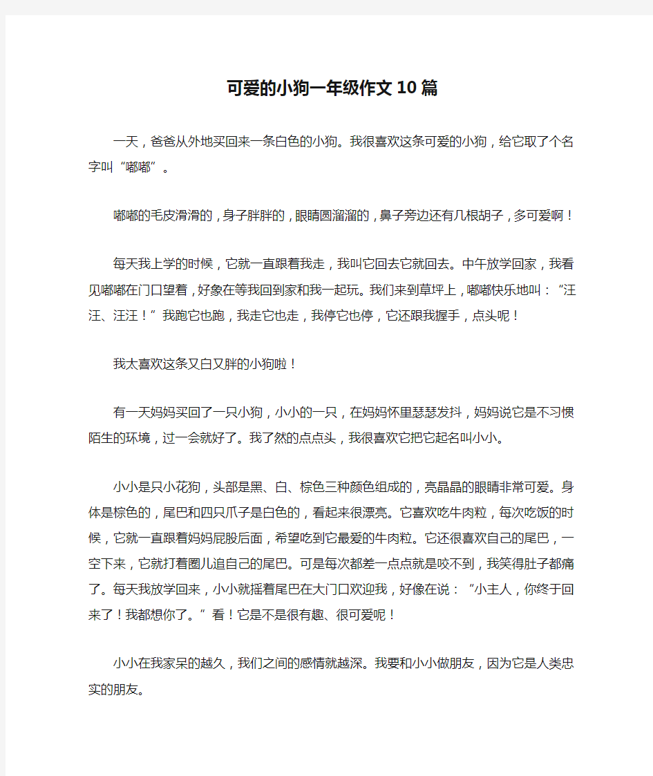 可爱的小狗一年级作文10篇