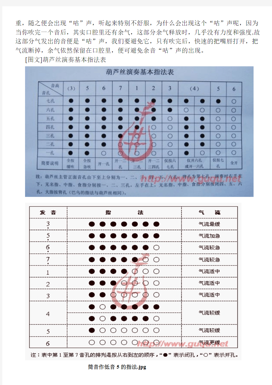 【免费下载】初学葫芦丝教程