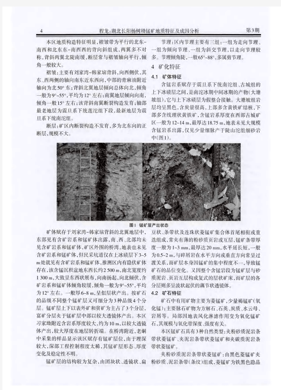 湖北长阳杨树坳锰矿地质特征及成因分析