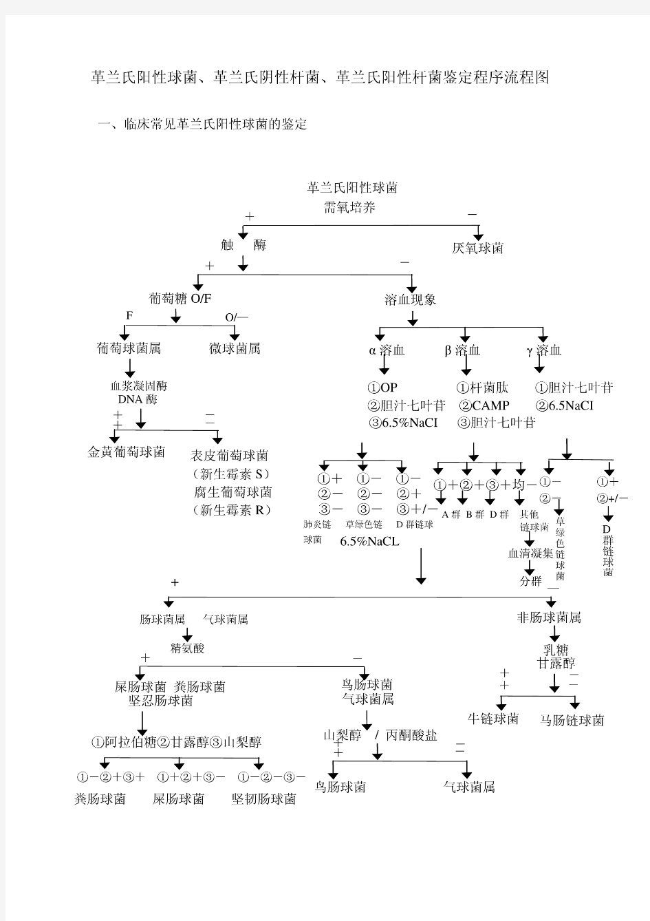 革兰氏阳性球菌、革兰氏阴性杆菌、革兰氏阳性杆菌鉴定程序流程图------打印