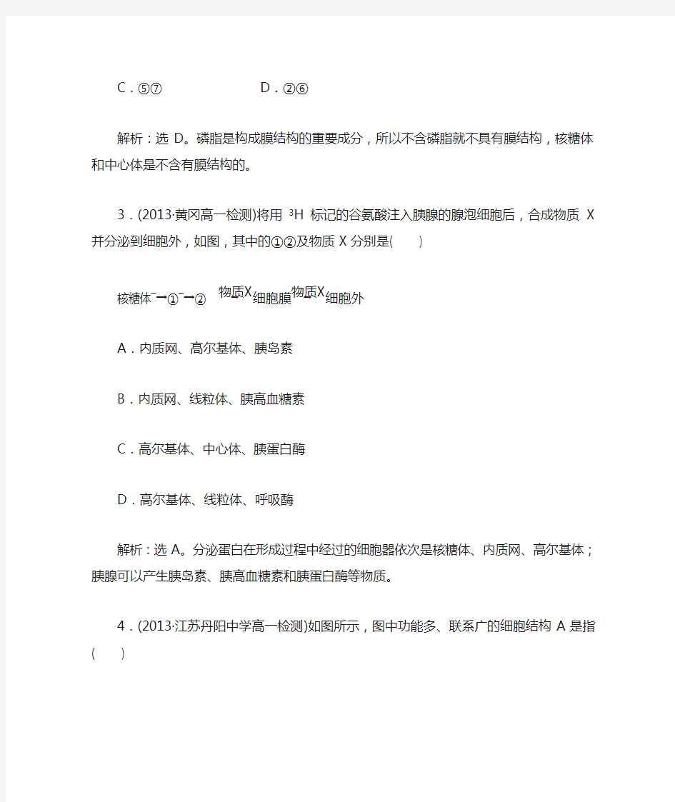 细胞器——系统内的分工合作 习题带答案详解