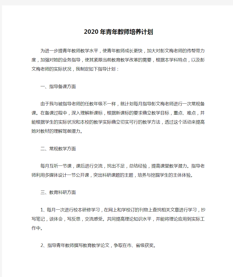 2020年青年教师培养计划