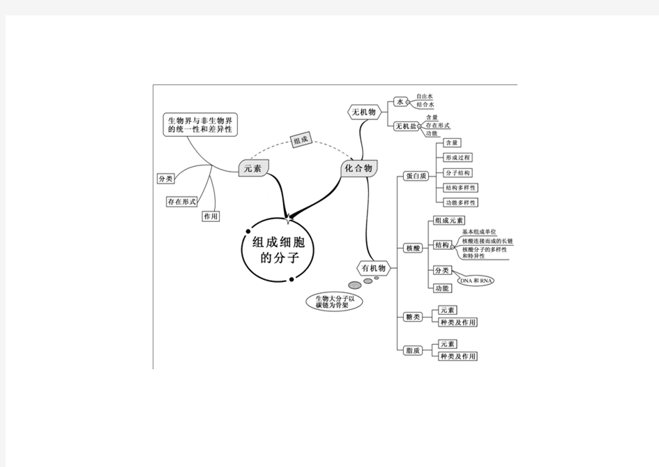 精编高中生物全套思维导图