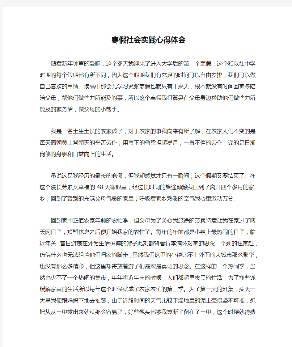 寒假社会实践心得体会