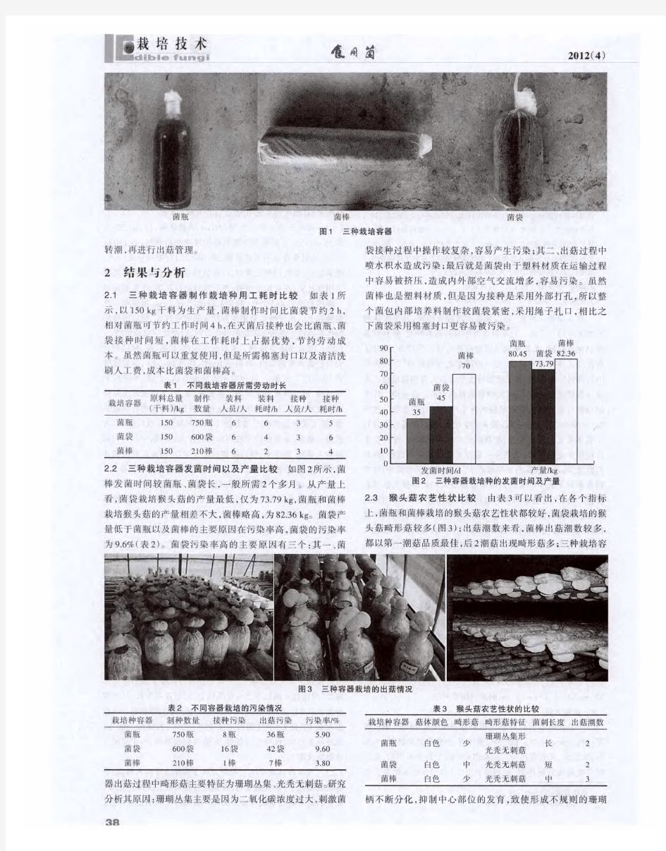 桑枝屑栽培猴头菇栽培模式试验