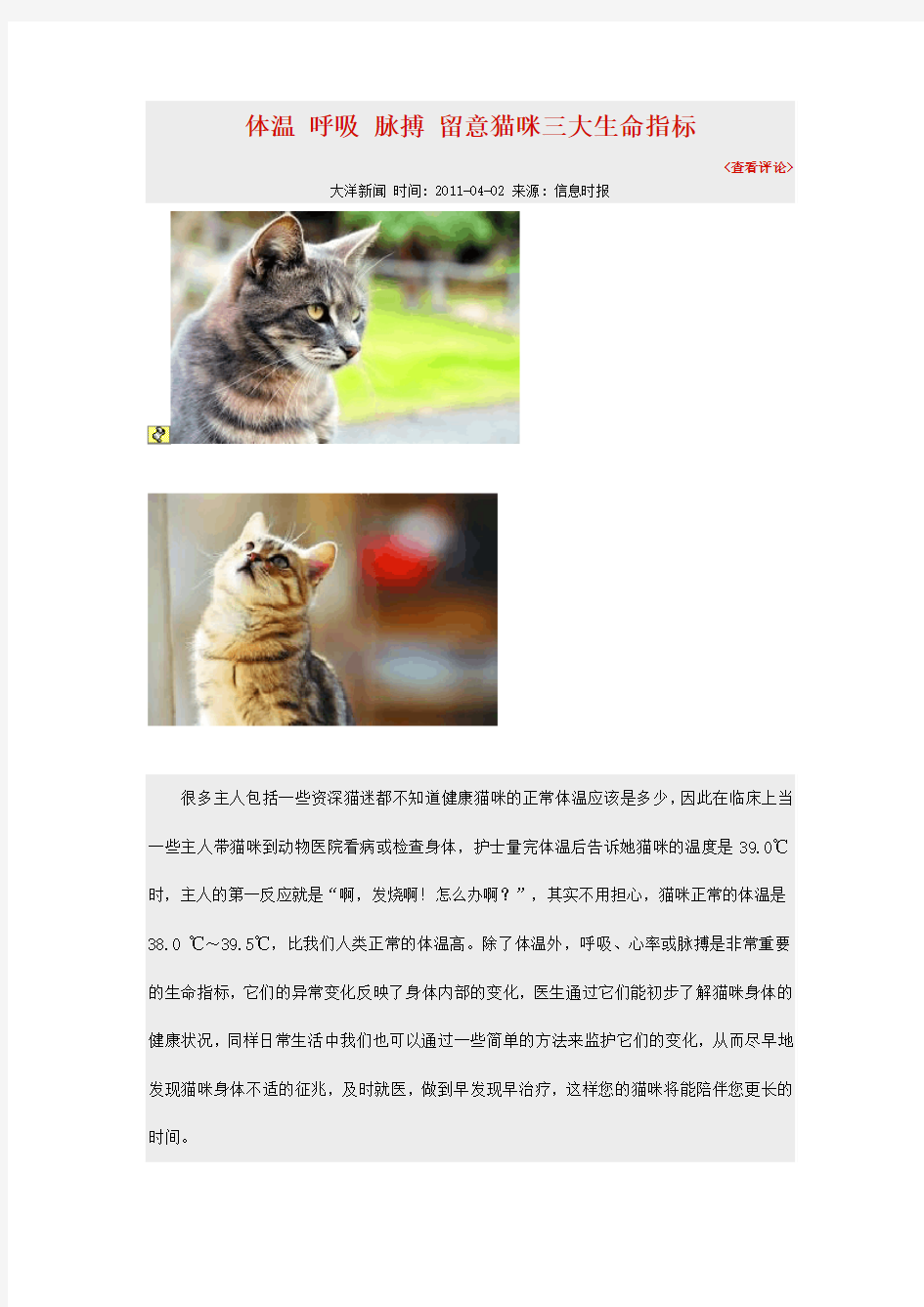 体温 呼吸 脉搏 留意猫咪三大生命指标