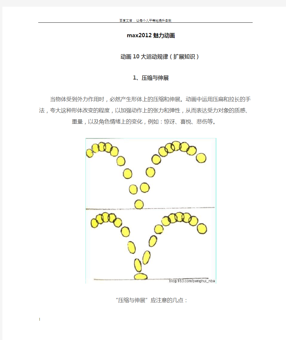 动画10大运动规律