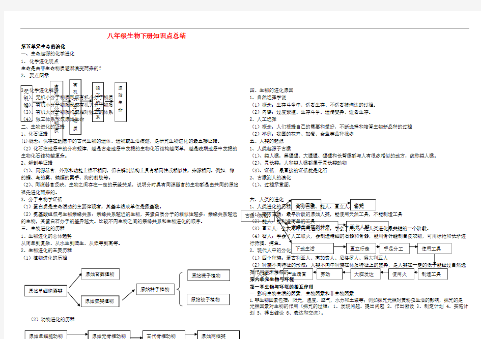 (完整版)八年级生物下册知识点济南版