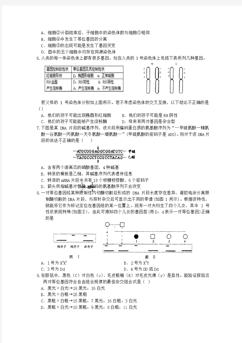 高考生物专题遗传专题