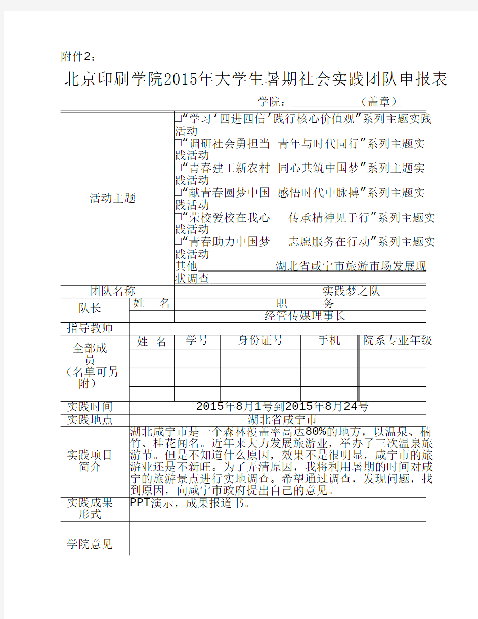 大学生暑期社会实践团队申报表