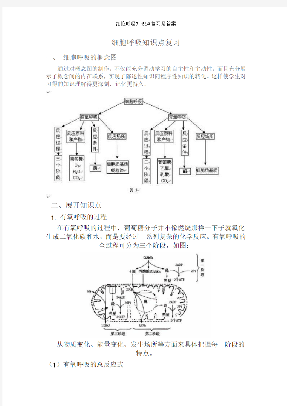 细胞呼吸知识点复习及答案