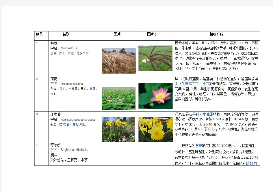 植物配置表