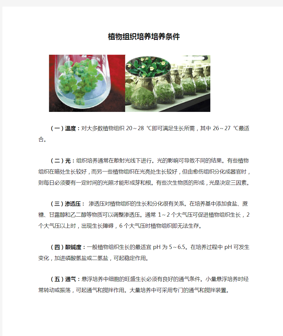 苏教版高中生物选修1 1.3基础知识：植物组织培养培养条件