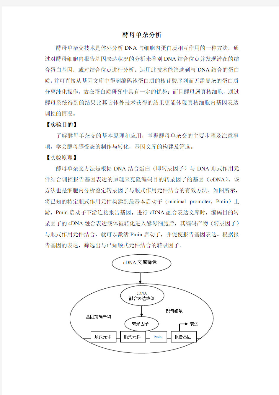 酵母单杂交实验方法.