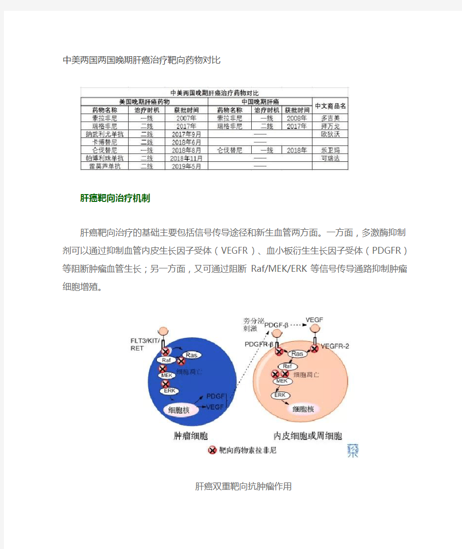 肝癌全球可用药物汇总