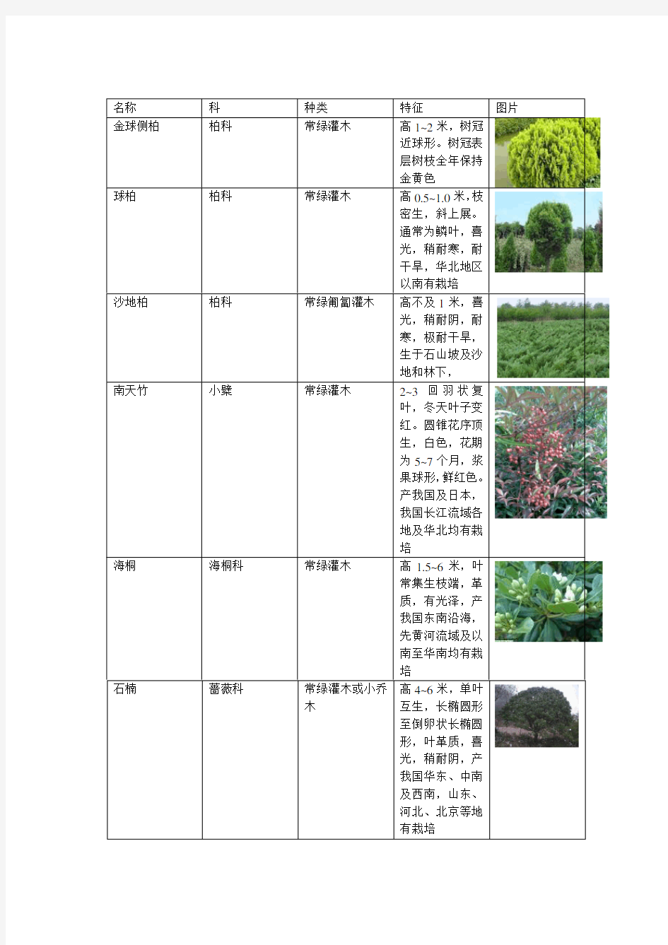 乔木、灌木、地被植物说明图表 3