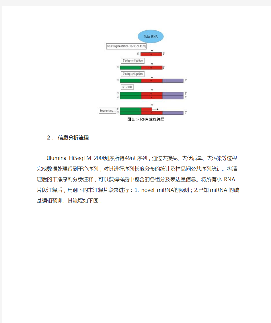 深度测序小RNA