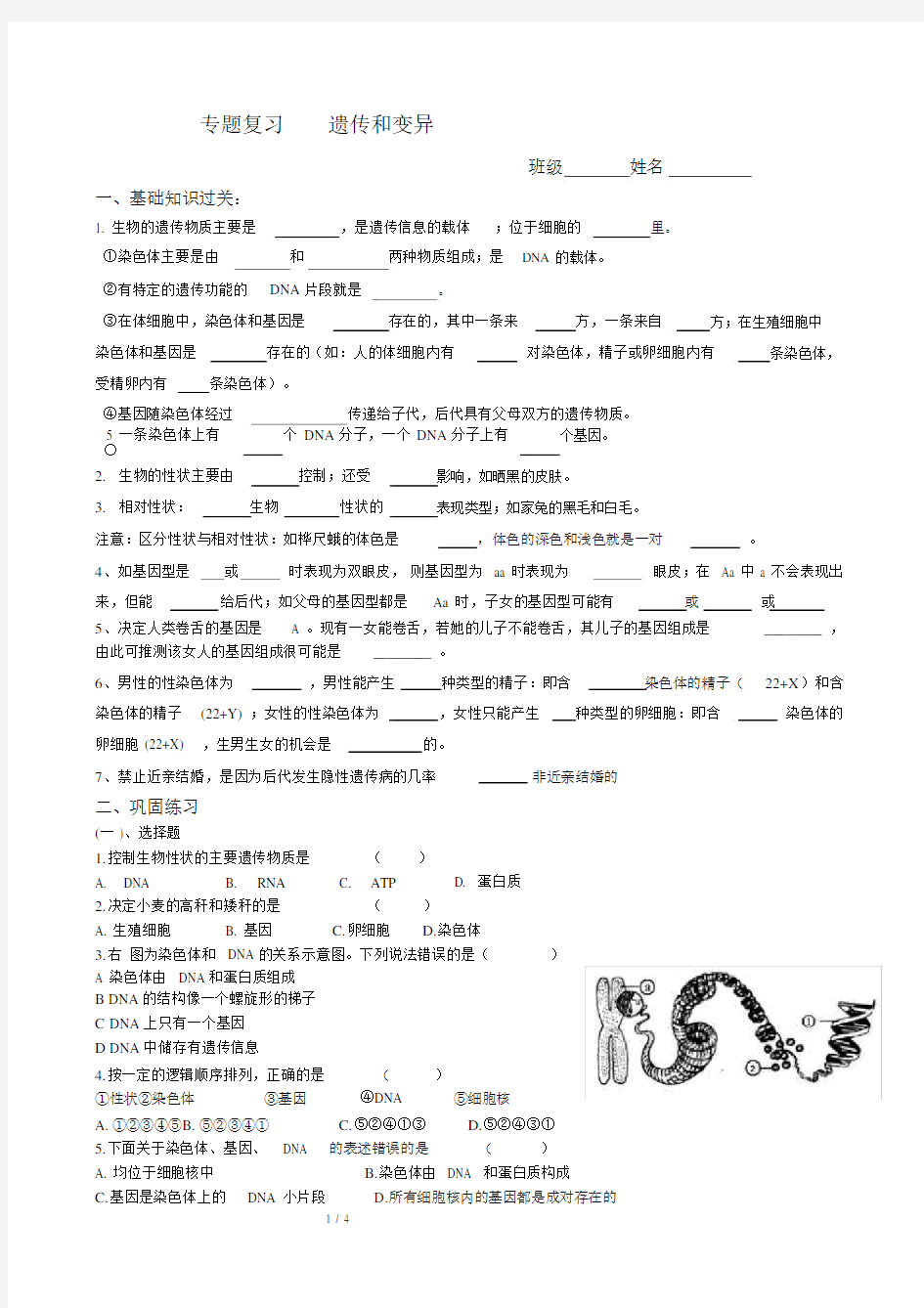 (完整)初中生物中考专题复习-遗传与变异.doc