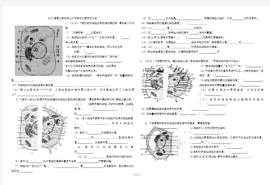 高中生物学考大题专练